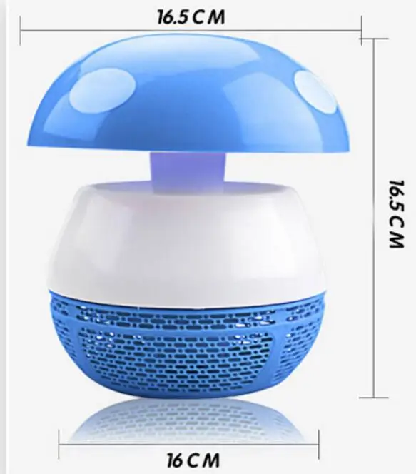 R5