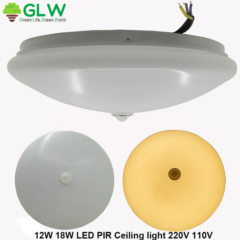 

Kitchen light PIR ceiling light induction led indoor light led ceiling light ceiling lighting 12W 18W 3000k LED light