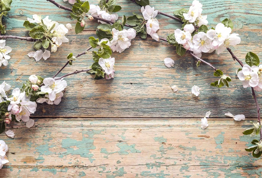 

Laeacco Wood Fade Peeled Board Plank Blossom Flower Petal Child Pet Doll Portrait Photography Backgrounds Backdrops Photo Studio