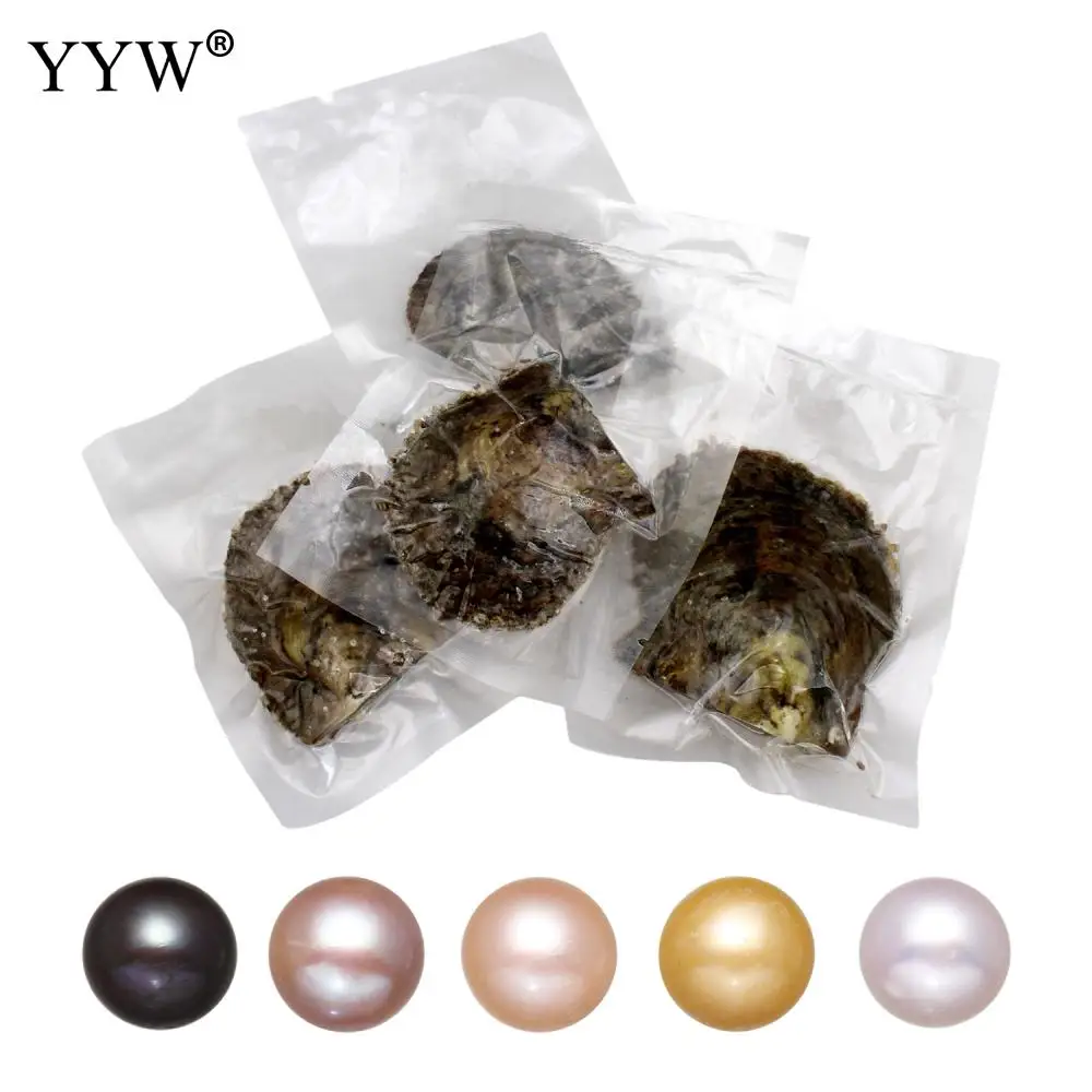 

YYW Vacuum-packed High Quality Natural 5 colors 11-12mm Potato-shaped Pearl Oyster With Hole For Ladies Wedding