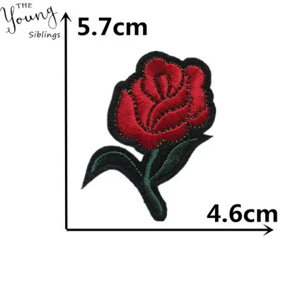 C5543 (2)