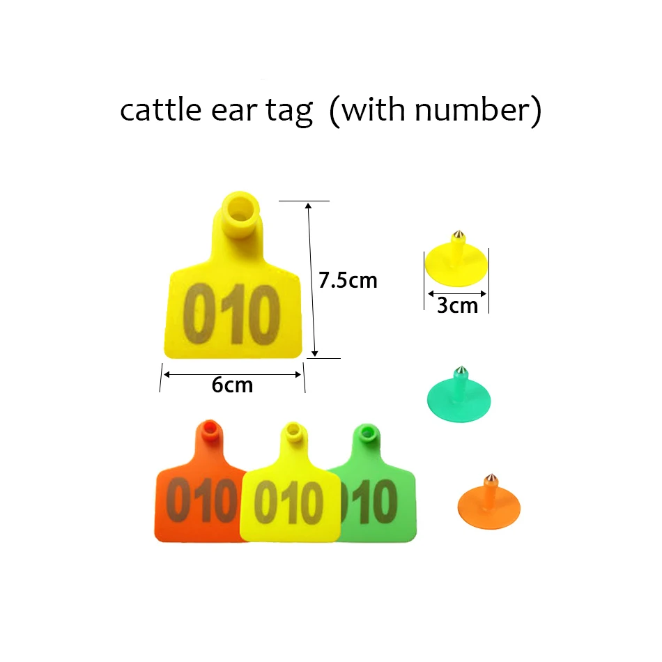 cattle-ear-tag_1