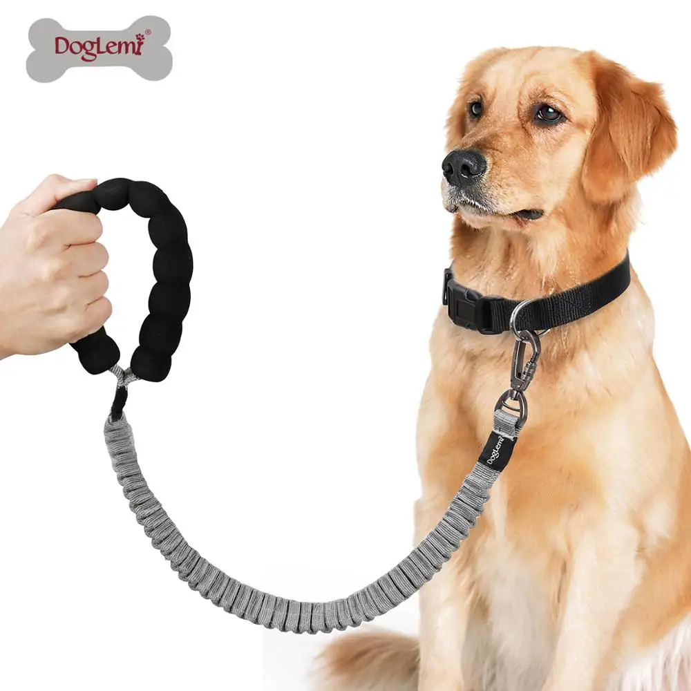 anti shock dog lead