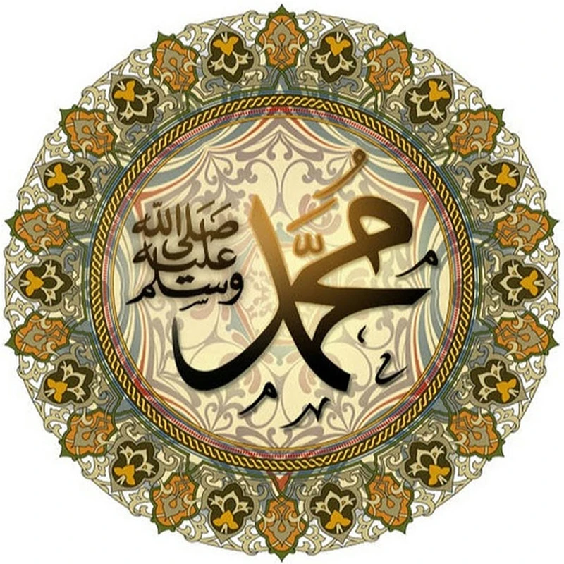 HTB10GiJaOzxK1RjSspjq6AS.pXae