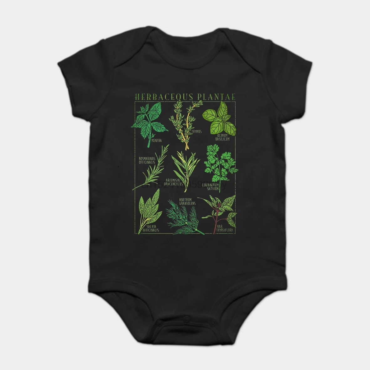 

Baby Onesie Baby Bodysuits kid t shirt Herbs Botanical Garden Plant Print Art Botany Bloom Fruit Flower Grow
