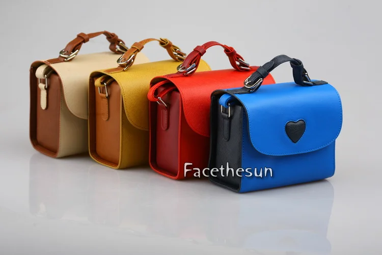 Fuji Polaroid Camera Bag 11