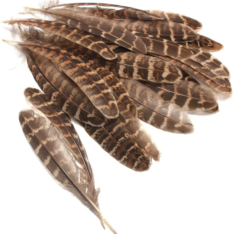 JX-LCLYL 50pcs/set 10-15cm Natural Hen Pheasant Tail Feathers Wedding Party Millinery Craft DIY Decor