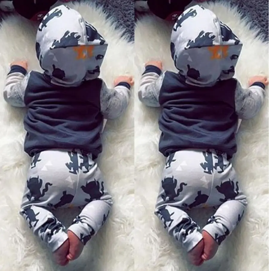 Cute cartoon Toddler Kids Baby Boys clothes set Hoodie Tops Pants