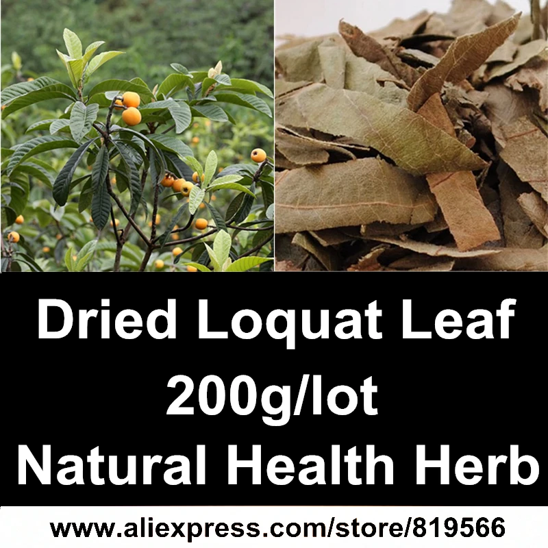 

Dried Loquat Leaf 200g Natural Ursolic Acid Herbs Loquat Leaves Cough Health Care Herbal Tea