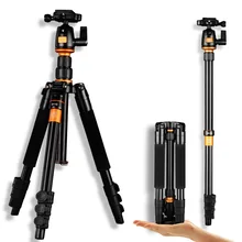 Wholesale Qingzhuangshidai Q555 portable aluminium monopod stand traveling professional camera tripods for slr video tripod
