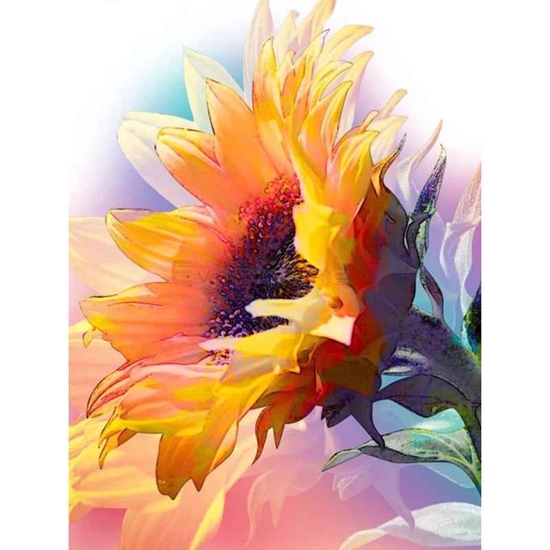 HTB1VIJMXc_vK1RkSmRyq6xwupXad