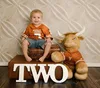 free shipping TWO Sign - Kids' Photo Prop - TWO, Second Birthday Prop - 2nd Birthday Party Deco ► Фото 2/2