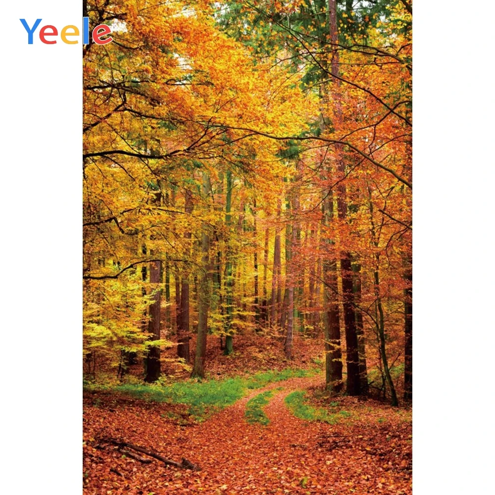 

Yeele Autumn Fallen Leaves Baby Birthday Party Photocall Photo Backgrounds Wedding Custom Photography Backdrops For Photo Studio