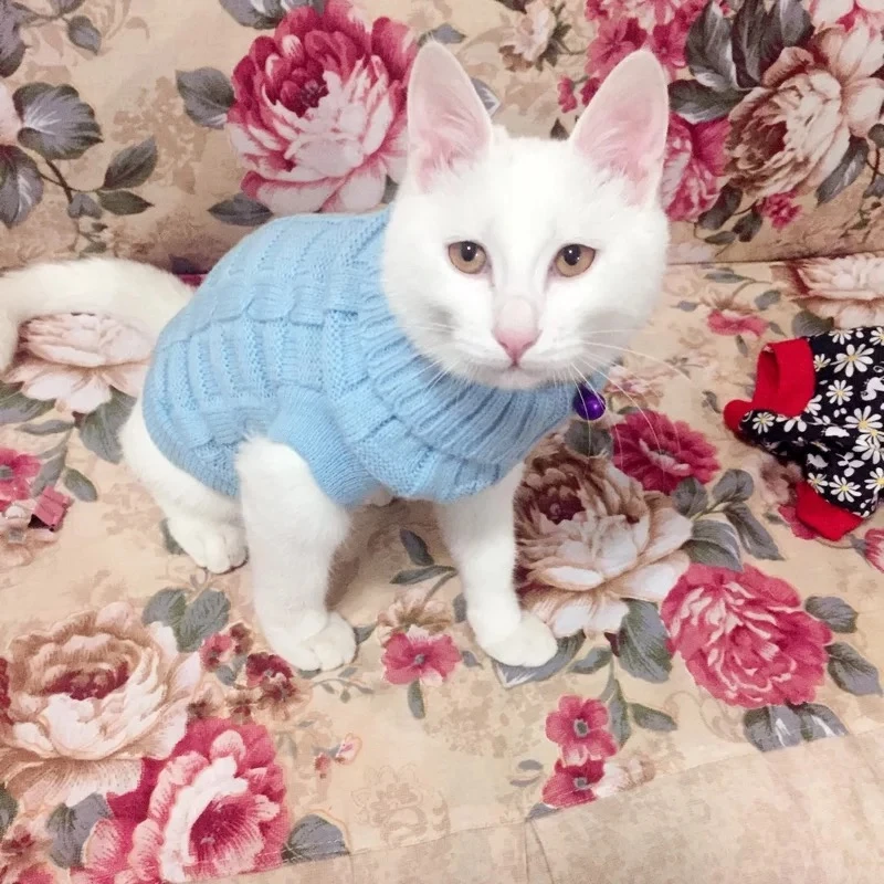 kitty sweaters