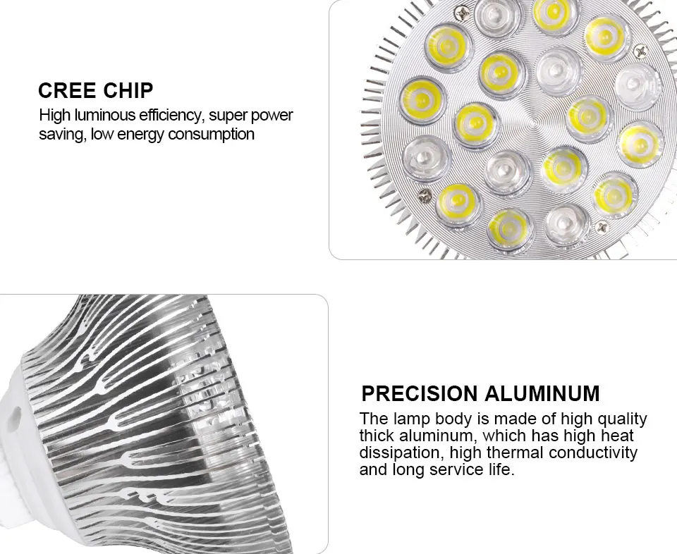 Coral Reef Fish Tank Light  (7)
