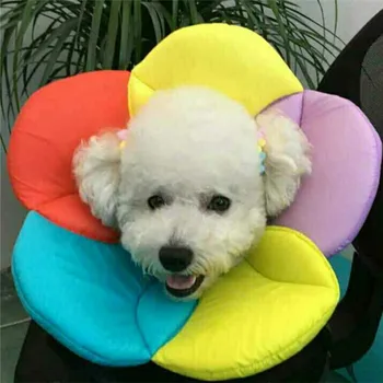 

Flower Pattern Pet Cats Dogs Elizabethan Collar Recovery Pet Cone Protective Cover Elizabethan Collar DropShipping