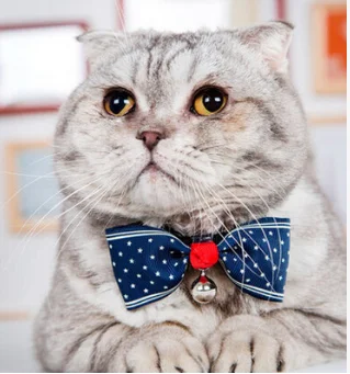 1 шт. Регулируемый Kawaii Dog Cat галстук-бабочка для домашних питомцев с колокольчиками милый щенок котенок галстук украшения на шею Прямая
