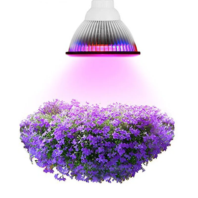 E27 12 Вт/24 Вт/36 Вт Светодиодные лампы для роста растений красный и синий 1200lm завод Лампы для мотоциклов Алюминий растет лампы сад парниковых