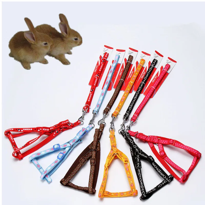 Buy Cat Harness Leash Rabbit Miniature Dogs Leashes