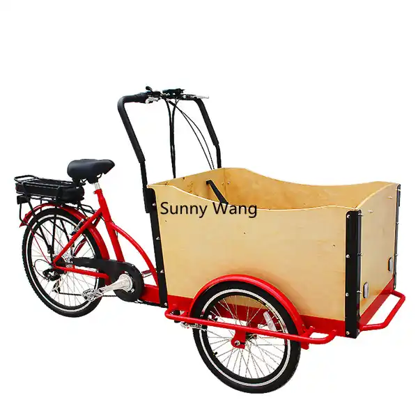 electric family cargo bike
