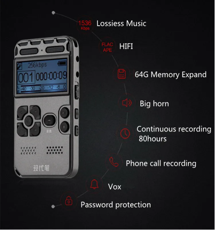 voice recorder microphone