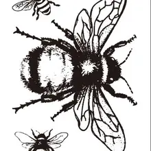 Прозрачные штампы от насекомых/силиконовые уплотнения для DIY скрапбукинга фотоальбома/открыток W1516
