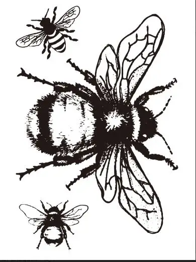 

Insect Transparent Clear Stamps / Silicone Seals for DIY scrapbooking photo album/Card Making W1516