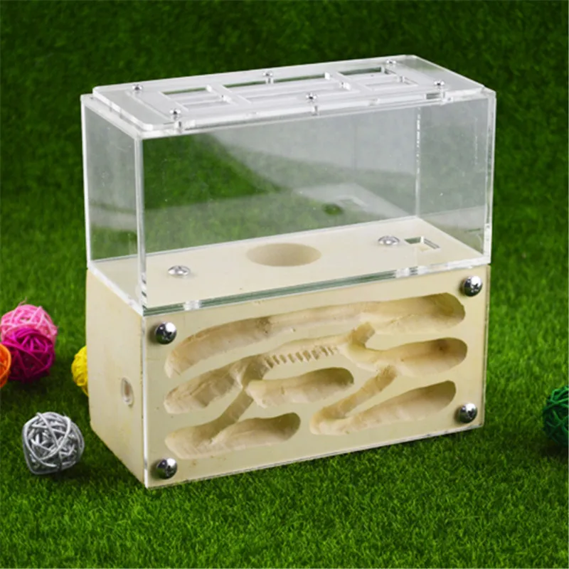 

Earth Formicarium designed with ants in mind this sturdy gypsum and acrylic nest measures