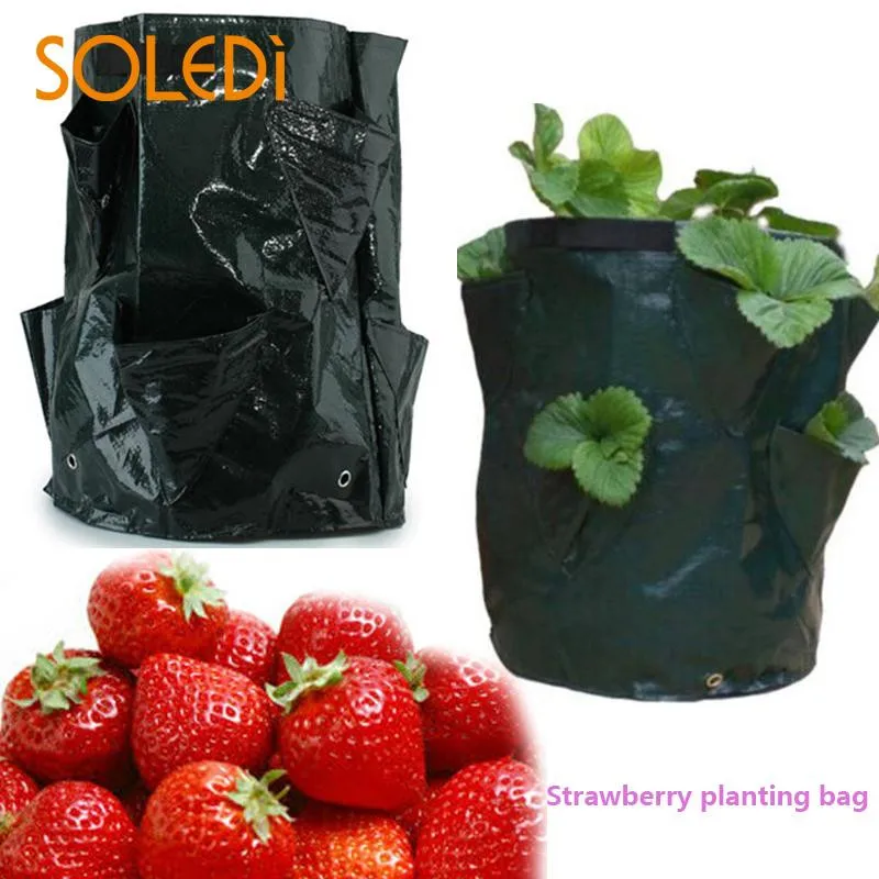 

2018060501 Pot Plant Pouch Root Curling Iron Supplies xiang li 86.88