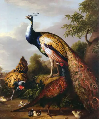 

Art large Oil painting birds peacocks with hen chicks in view - canvas 24"x36"