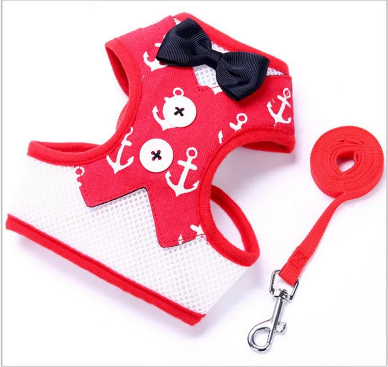 leash for dog (14)