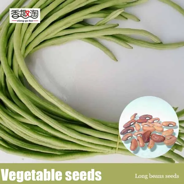 Compare Prices on Long Beans Online Shopping/Buy Low Price Long Beans