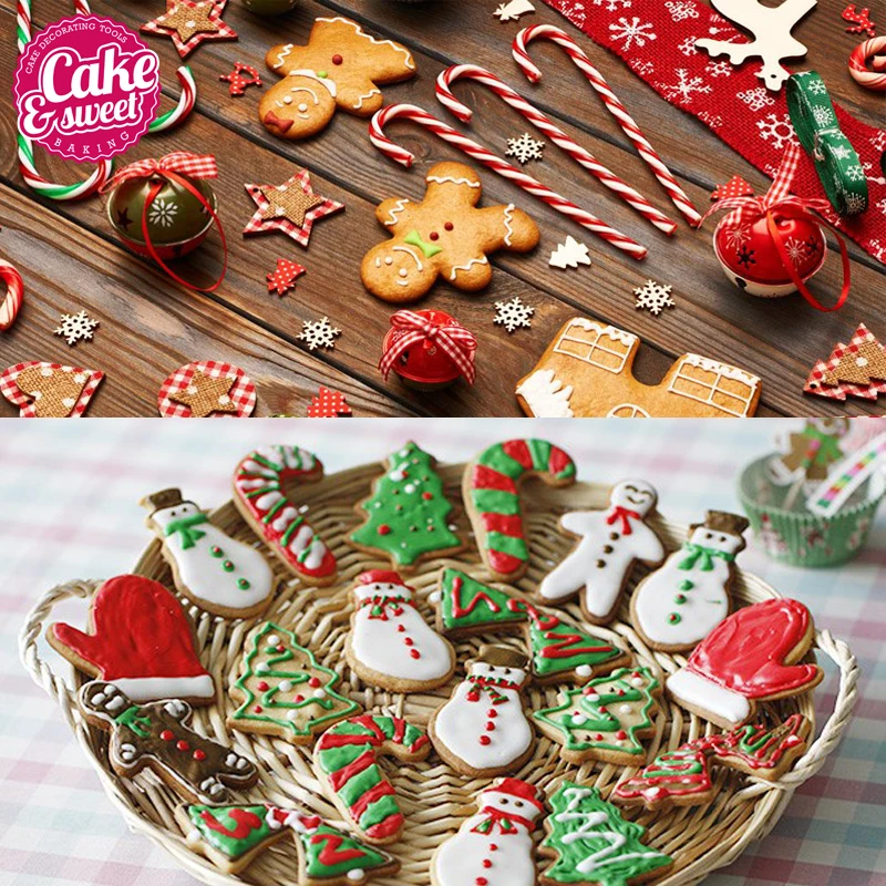 24PCS-2