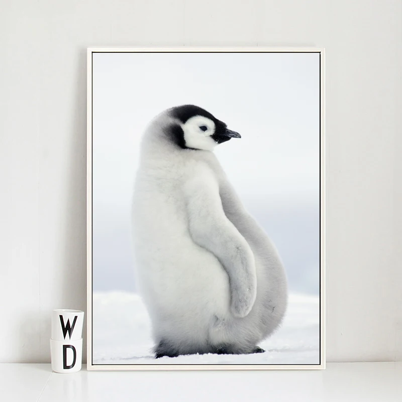 TB2SNzHXrJkpuFjy1zcXXa5FFXa_!!196106232