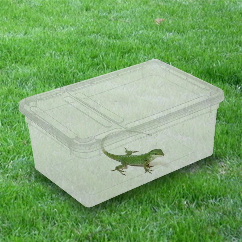 

Plastic Reptile Terrarium Habitat Ideal for Larvae Spiders Ants Scorpions Chameleon Lizard Transparent Reptiles Living Box