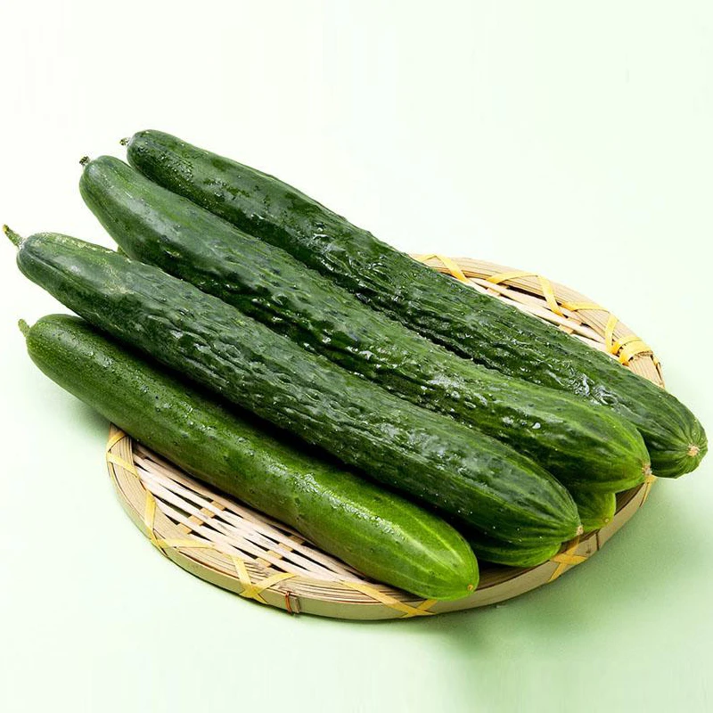 

Vegetable Cucumber Home Terrace Vegetable Fruits bonsai 20pcs