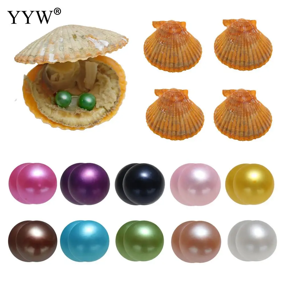 

10pcs/Bag Twins Wish Pearl Oyster Akoya Cultured Sea Pearl Oyster Beads Akoya Cultured Pearls Mixed Colors