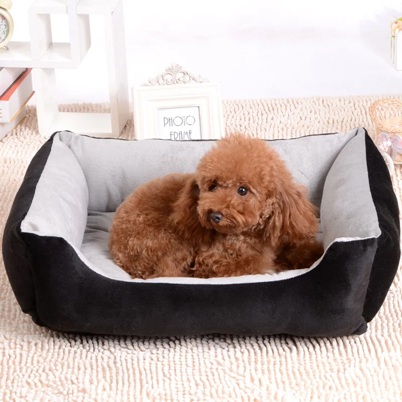 2591687628_1790746305