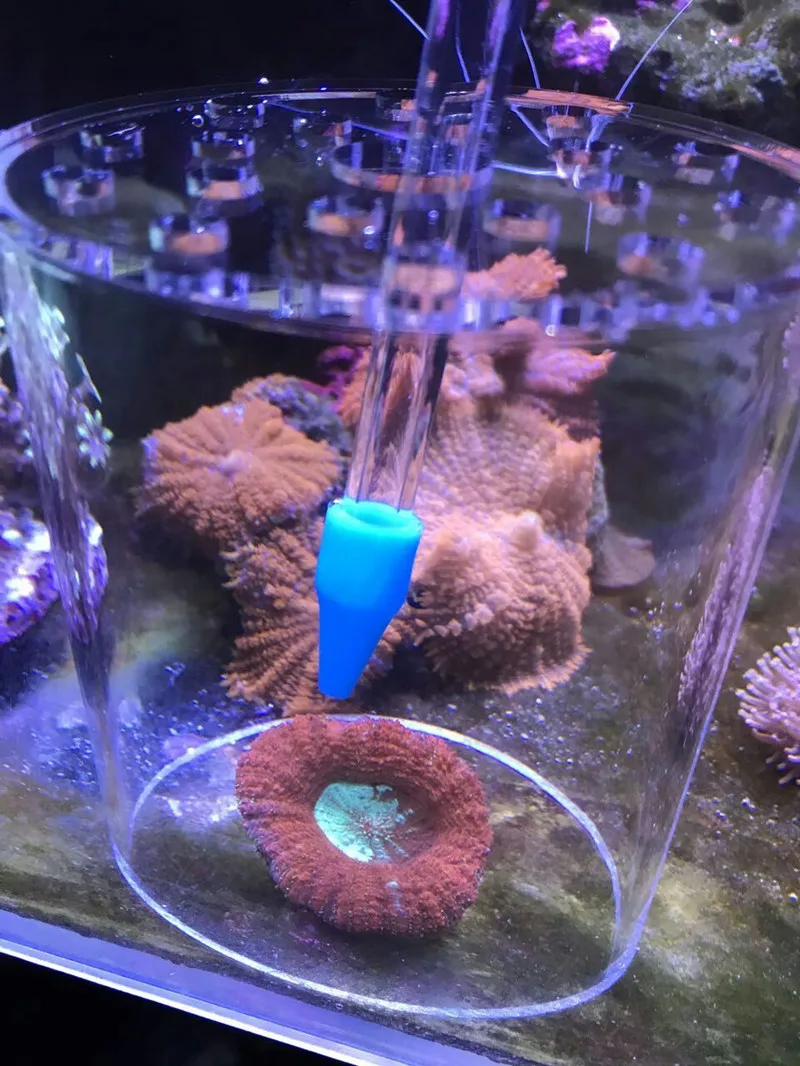 

Seawater coral SPS LPS aquarium feeding hood feeding tube. Liquid feeder additive