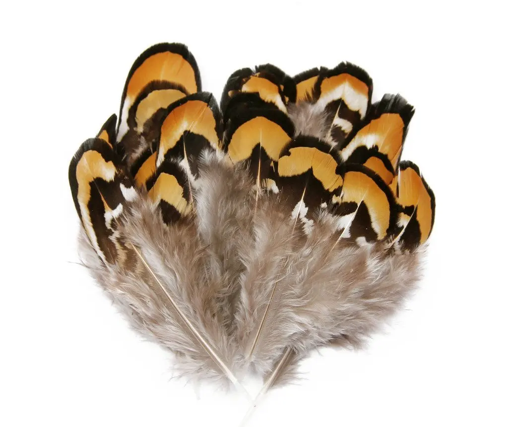 Natural chicken pheasant feathers Rooster peacock Plumes DIY decor feathers for crafts Jewelry Accessories Wedding decoration