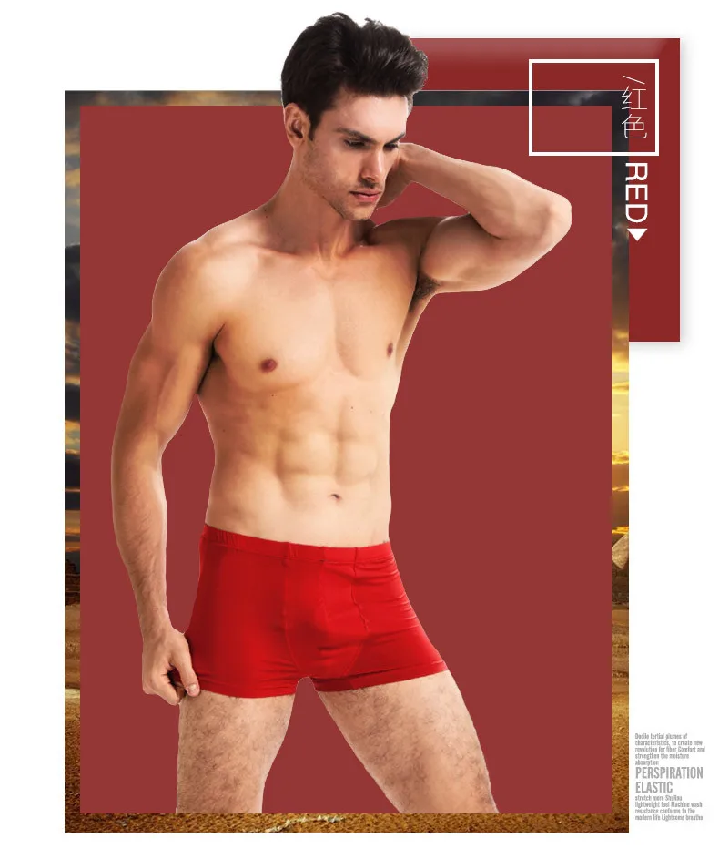 4204067444_721690229