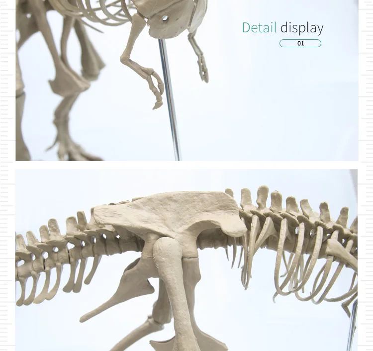 Горячая 4D собранная модель большой Т-Рекс, скелет fossil ПВХ животное модель «сделай сам» головоломка игрушка для детей модель динозавра с коробкой