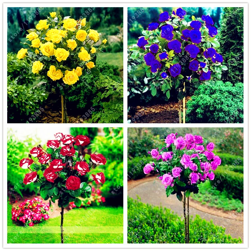 Online Buy Wholesale large decorative flower pots from