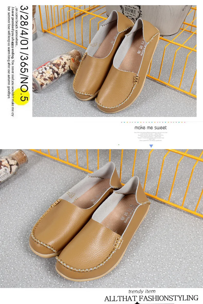 3027384431_1699420686