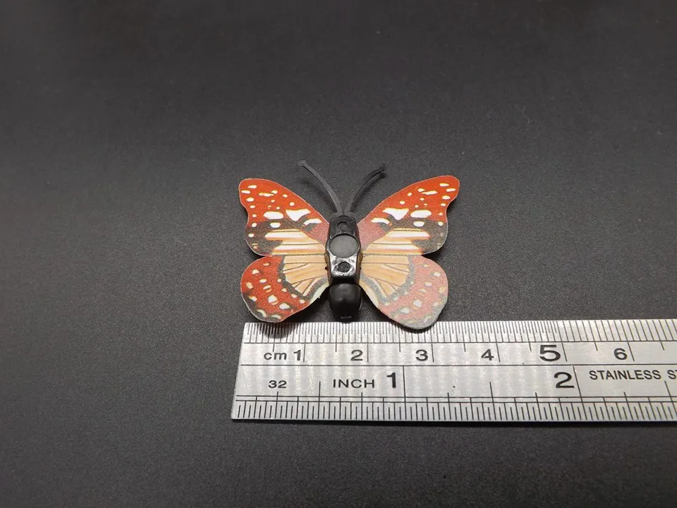 I257-Butterfly (13)