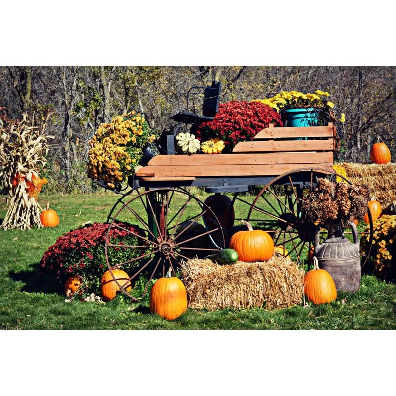 Harvest farmland photo background wooden cart and flowers photography