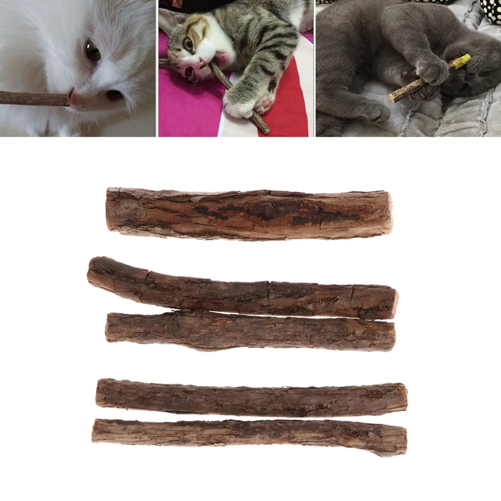 OOTDTY Cat Cleaning Teeth Pure Natural Catnip Molar Toothpaste Stick