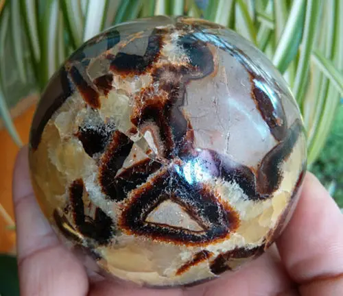 

xd j00563 Natural Septarian Dragon Crystal Gem Sphere Ball