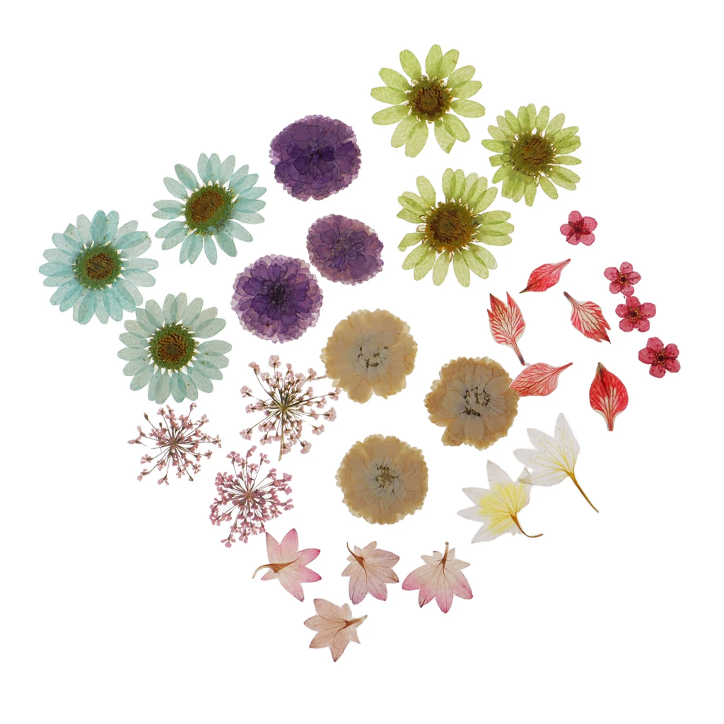 Pack Of Natural Dried Flower Real Flower Mixed For DIY Resin Ornament Craft Card Making Scrapbooking Embellishment Floral Design