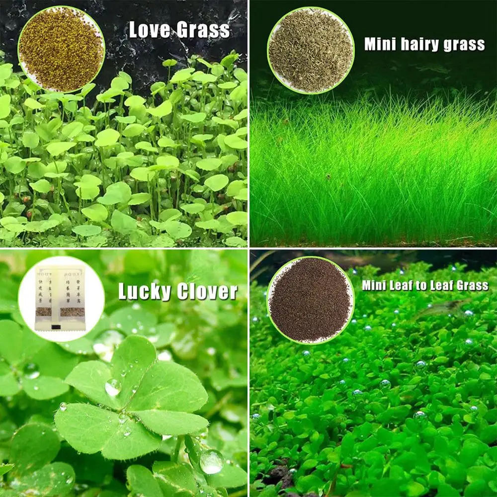 

Plant Seeds Fish Tank Aquarium Aquatic Water Grass Decor Garden Foreground Plant